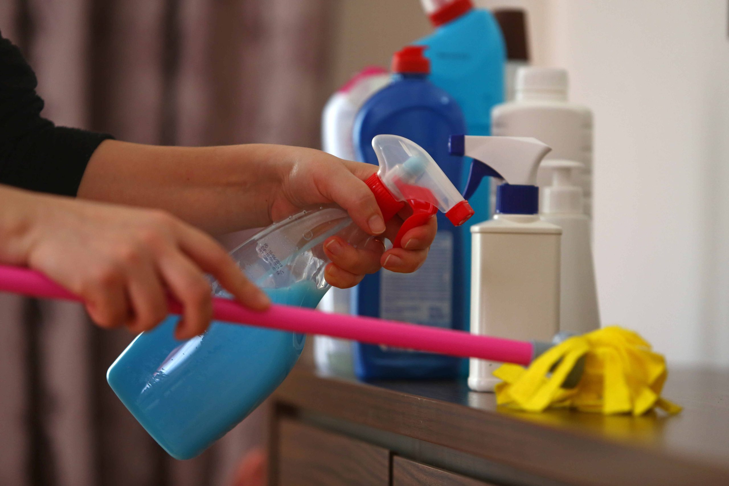 Obsessive Compulsive Cleaner Hayley Leitch